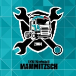 Transportunternehmen Dirk Mammitzsch GmbH & Co. KG